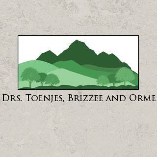 Drs. Toenjes, Brizzee and Orme - Cosmetic and Family Dentistry