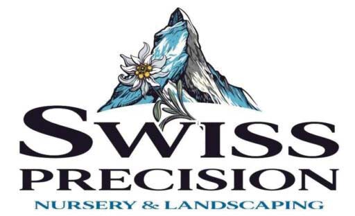 Swiss Precision