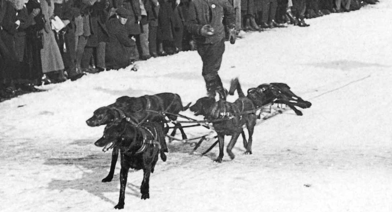 Historic American Dog Derby Photos