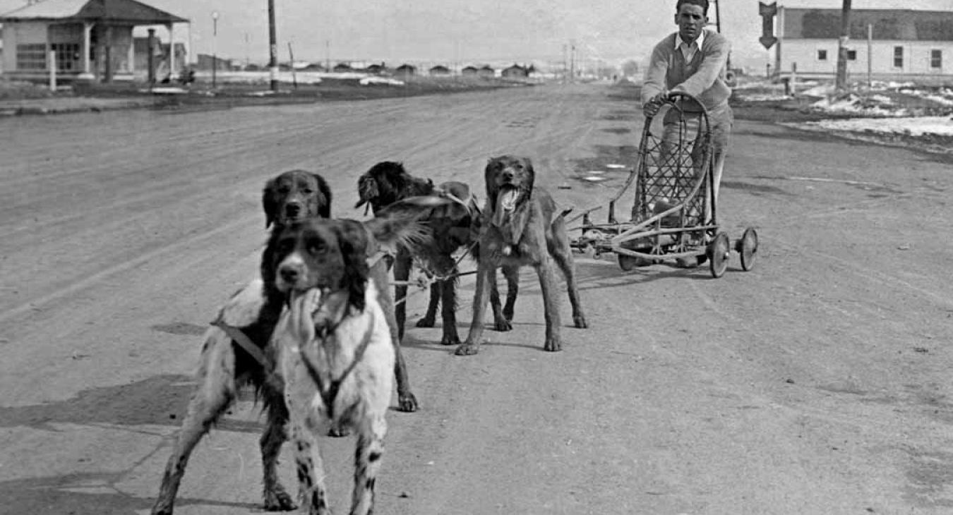 Historic American Dog Derby Photos
