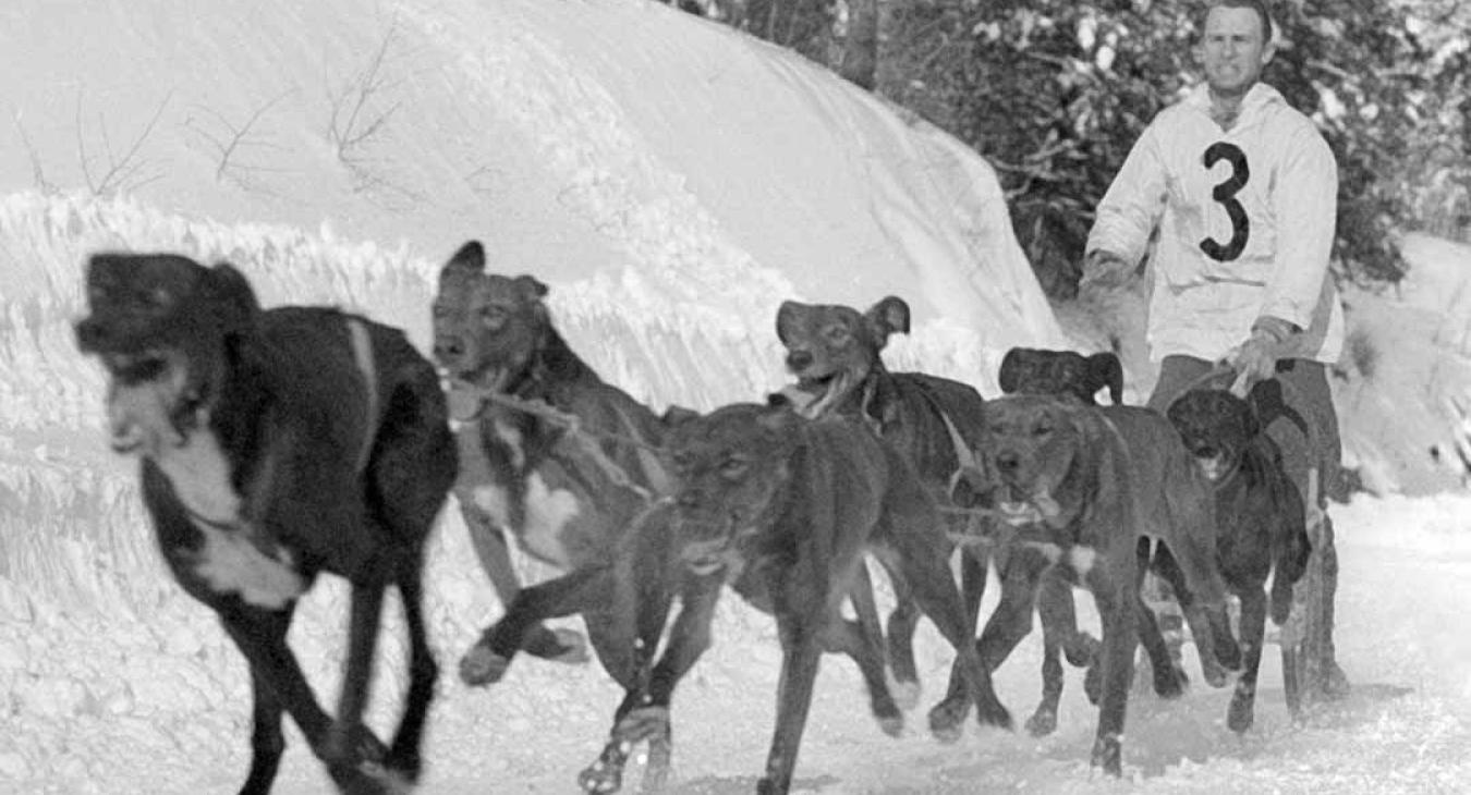 Historic American Dog Derby Photos