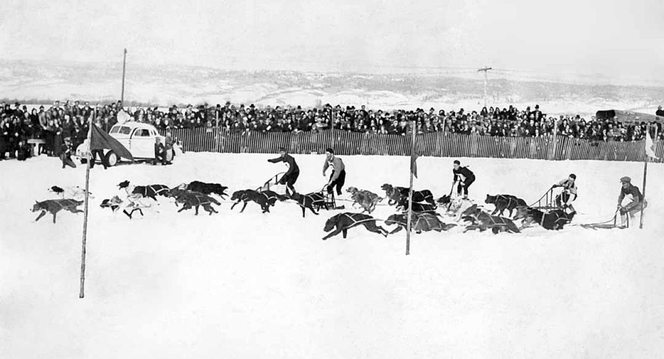 Historic American Dog Derby Photos