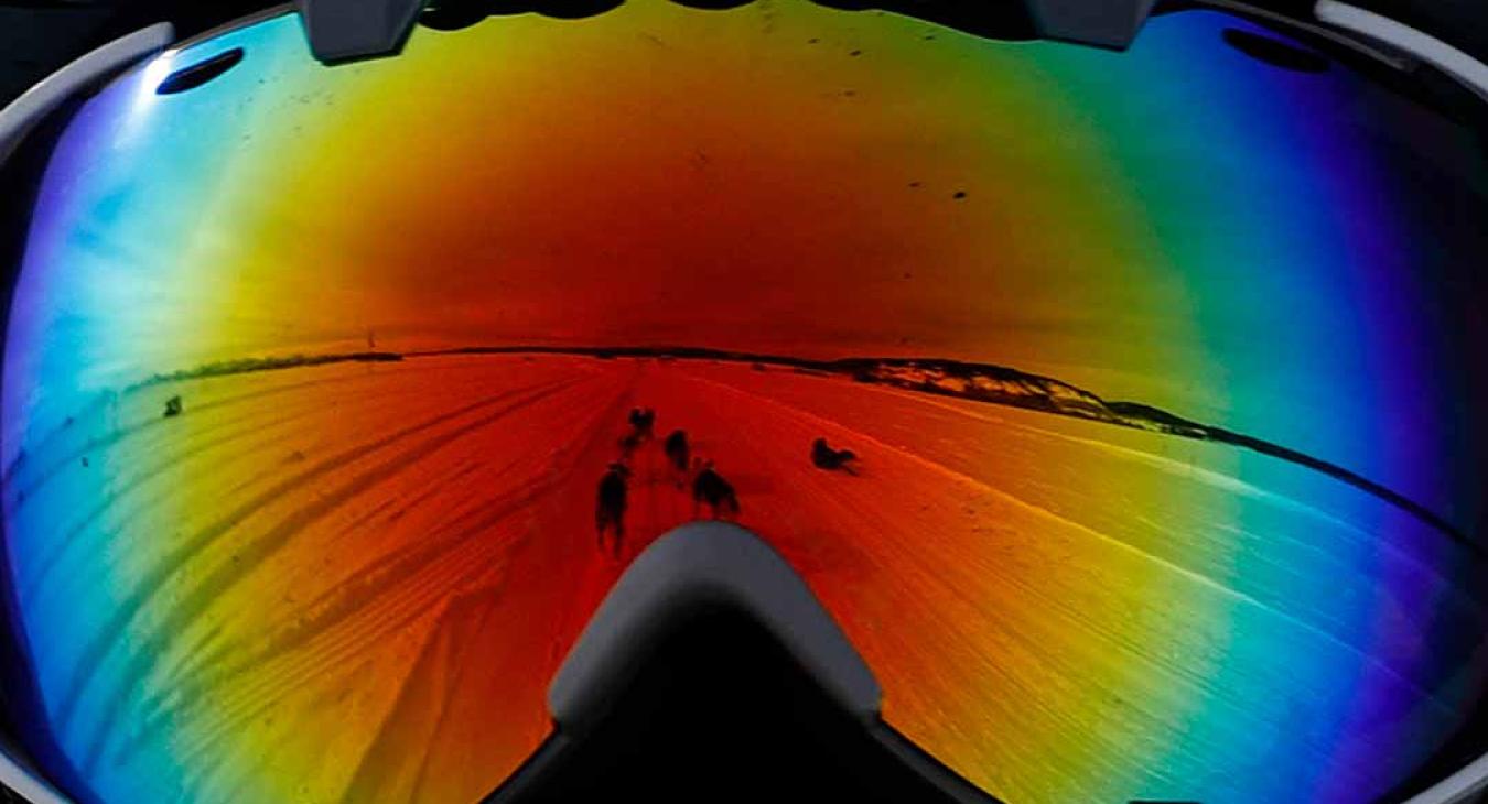 2023 American Dog Derby