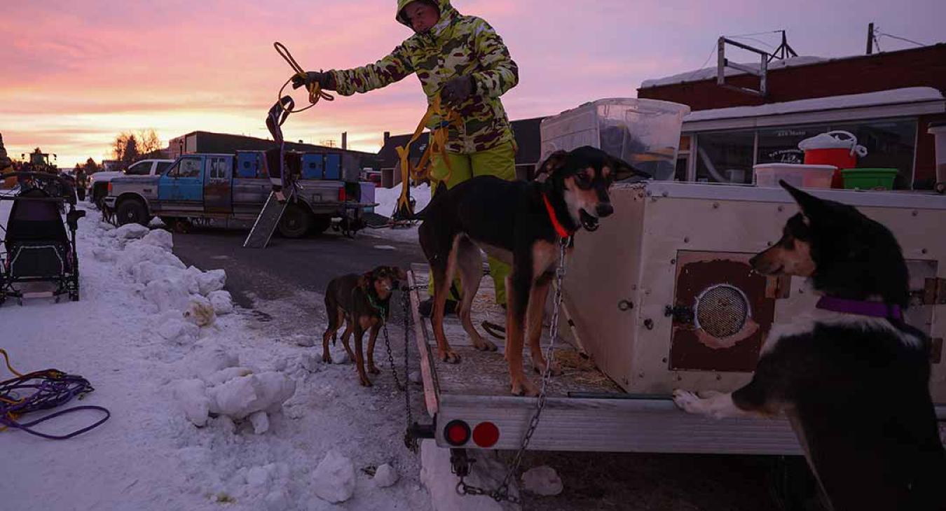 2023 American Dog Derby