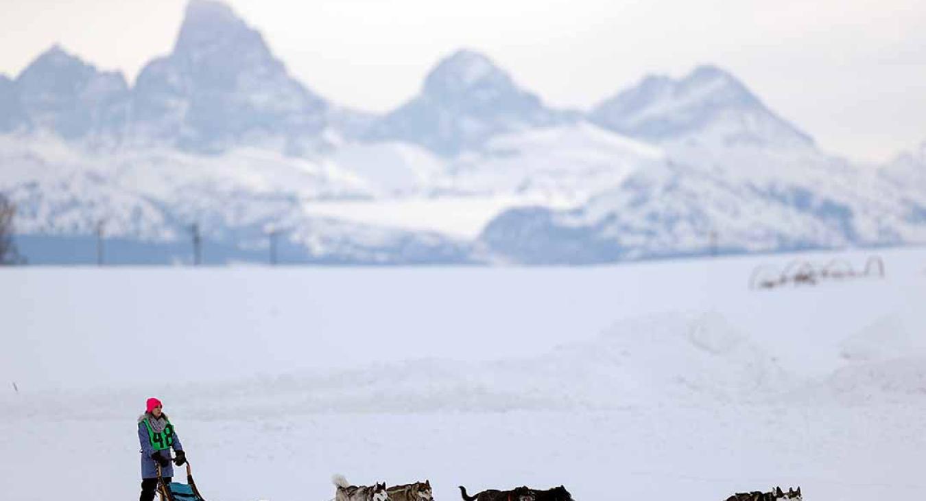 2023 American Dog Derby