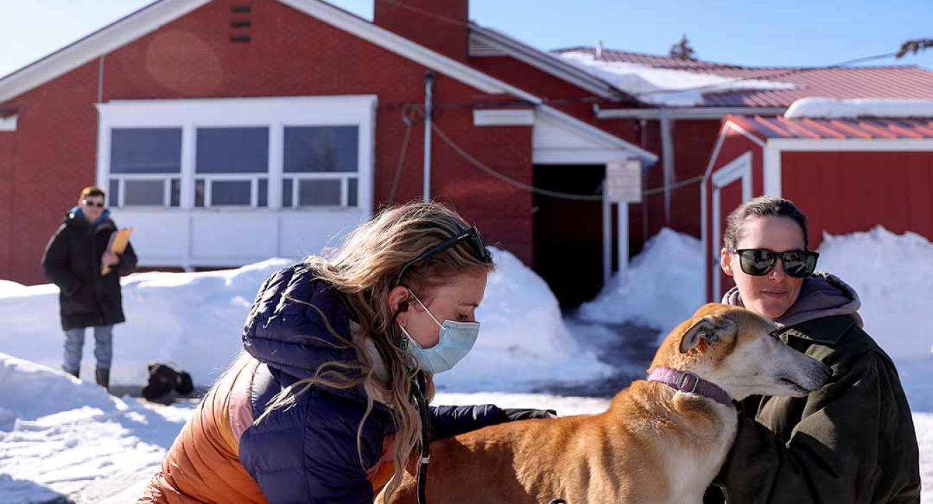2023 American Dog Derby