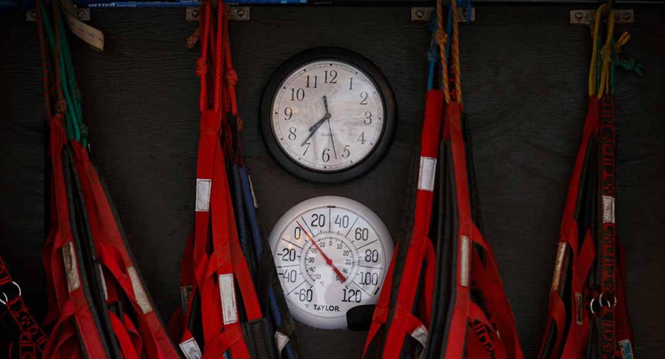 2023 American Dog Derby