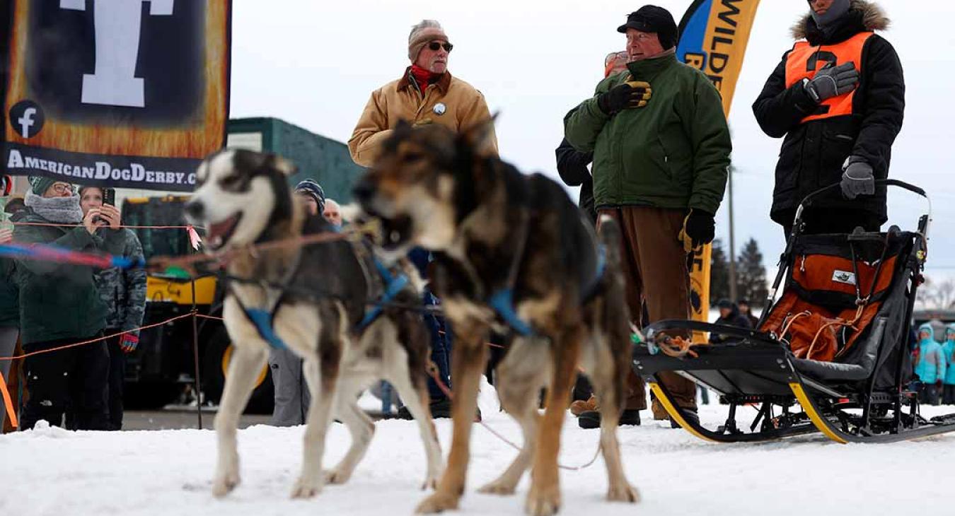 2023 American Dog Derby