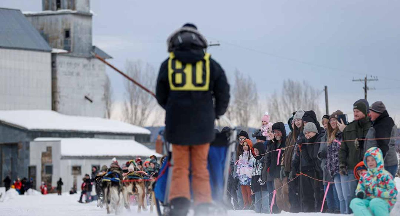 2023 American Dog Derby