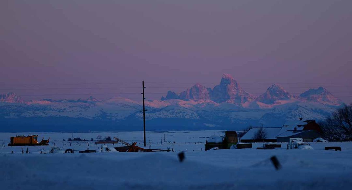 2023 American Dog Derby