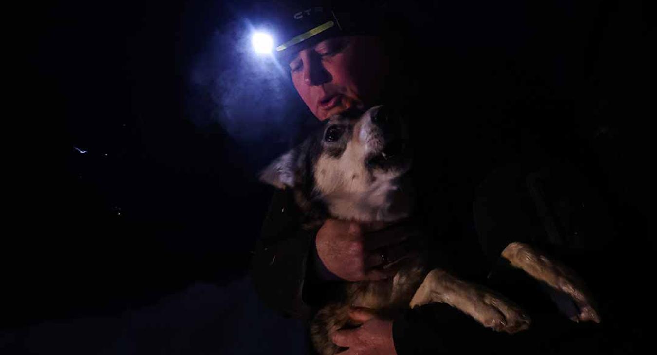 2023 American Dog Derby