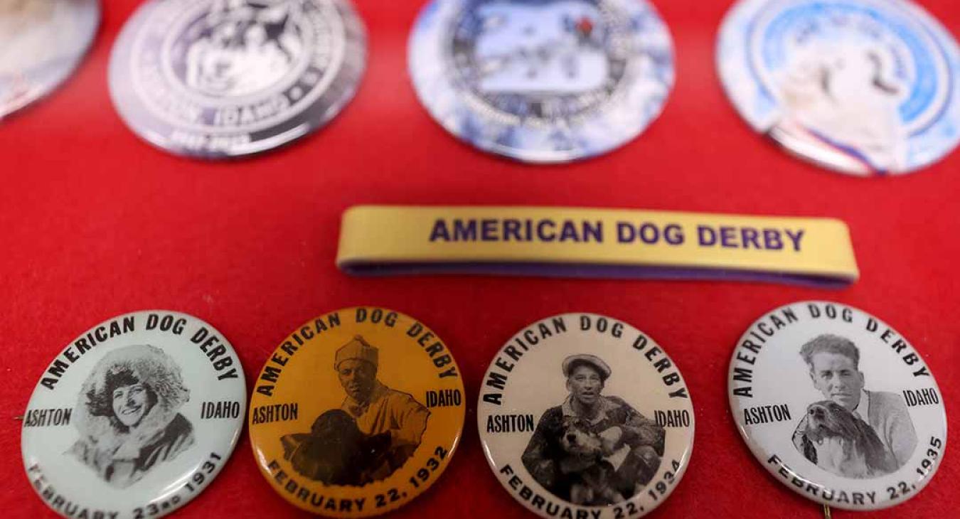 2023 American Dog Derby