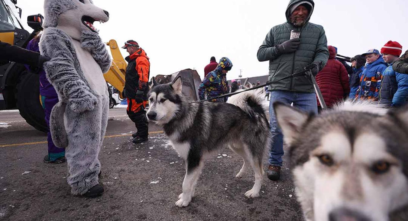 2023 American Dog Derby