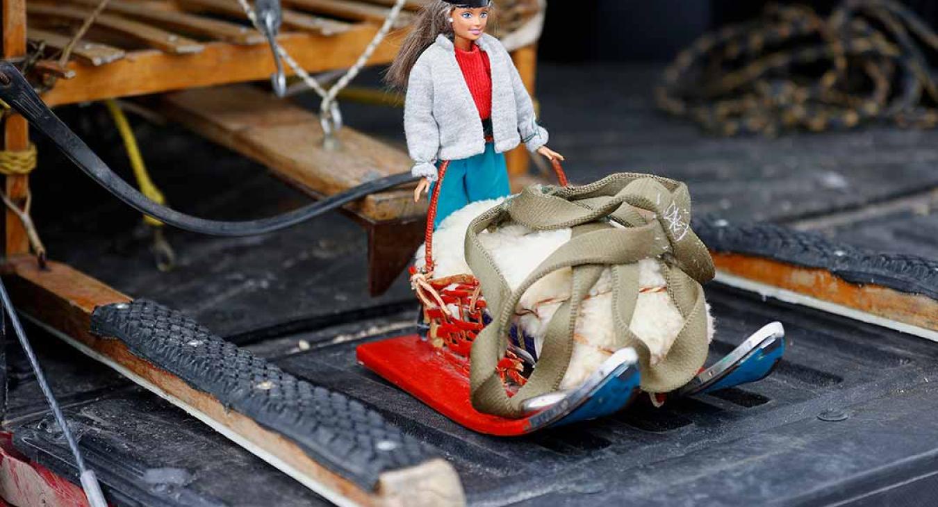 2023 American Dog Derby