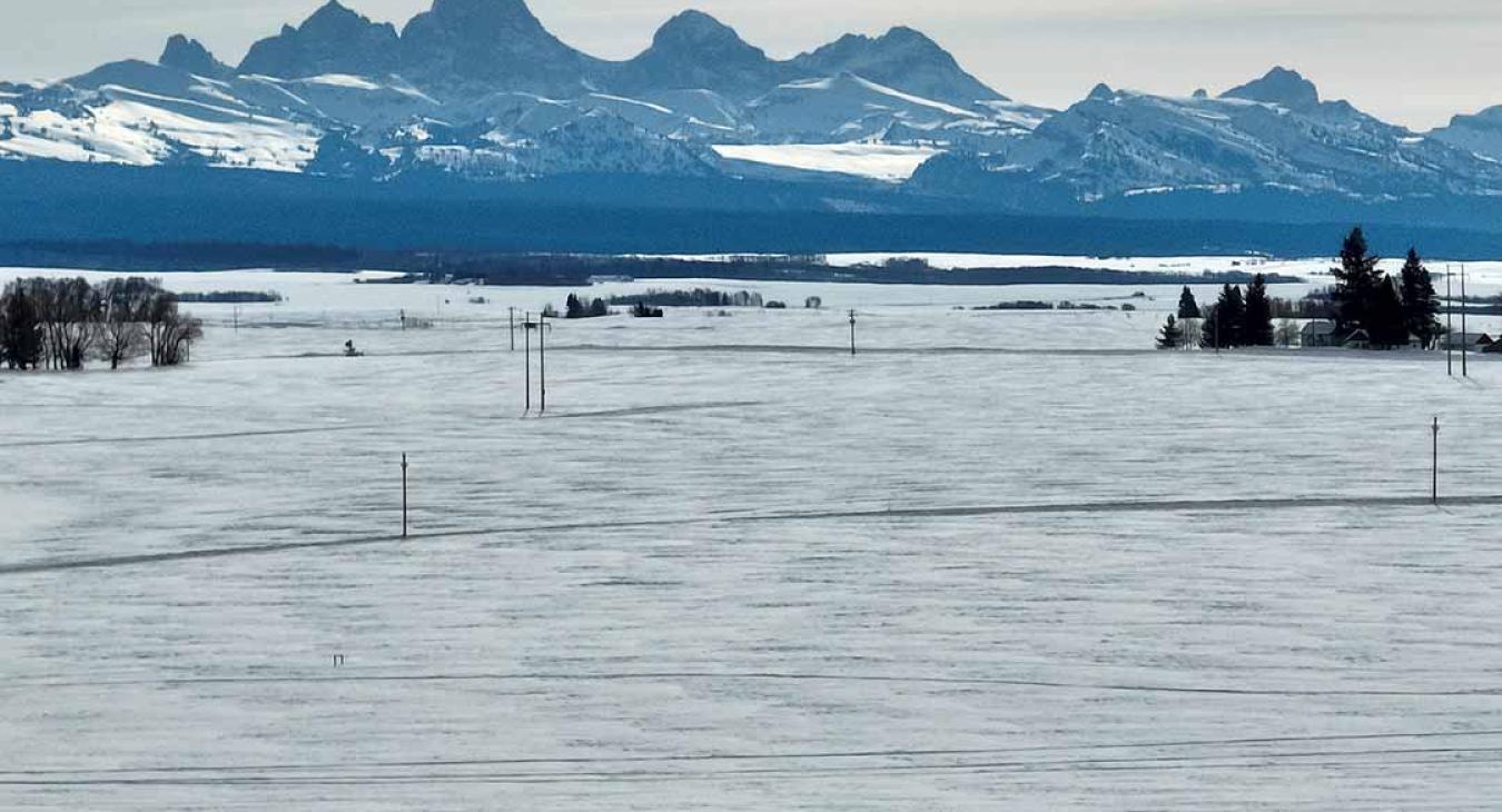 2023 American Dog Derby