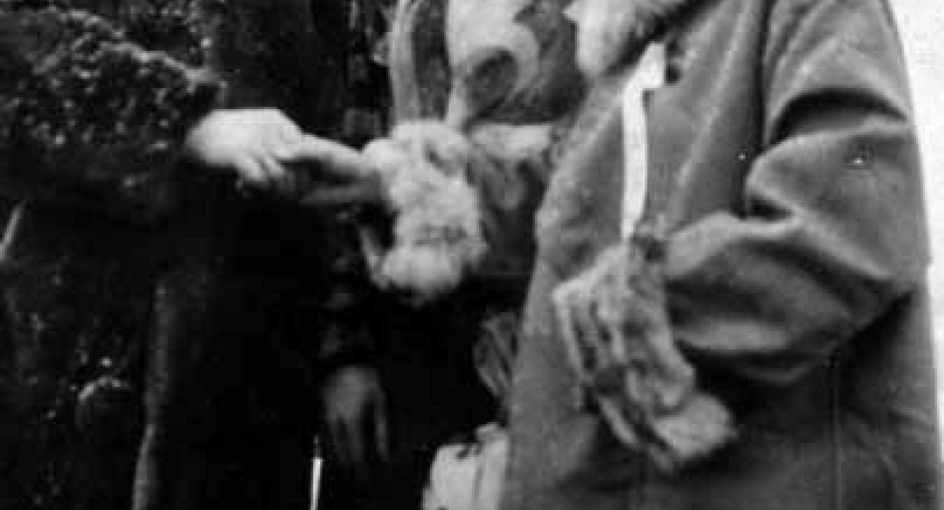 Historic American Dog Derby Photos