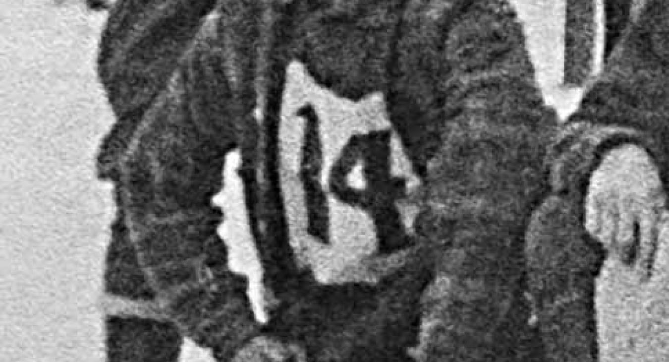 Historic American Dog Derby Photos