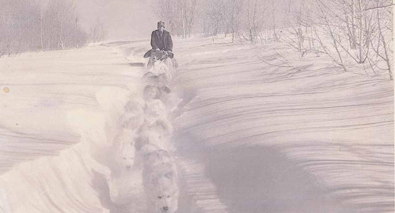 Historic American Dog Derby Photos