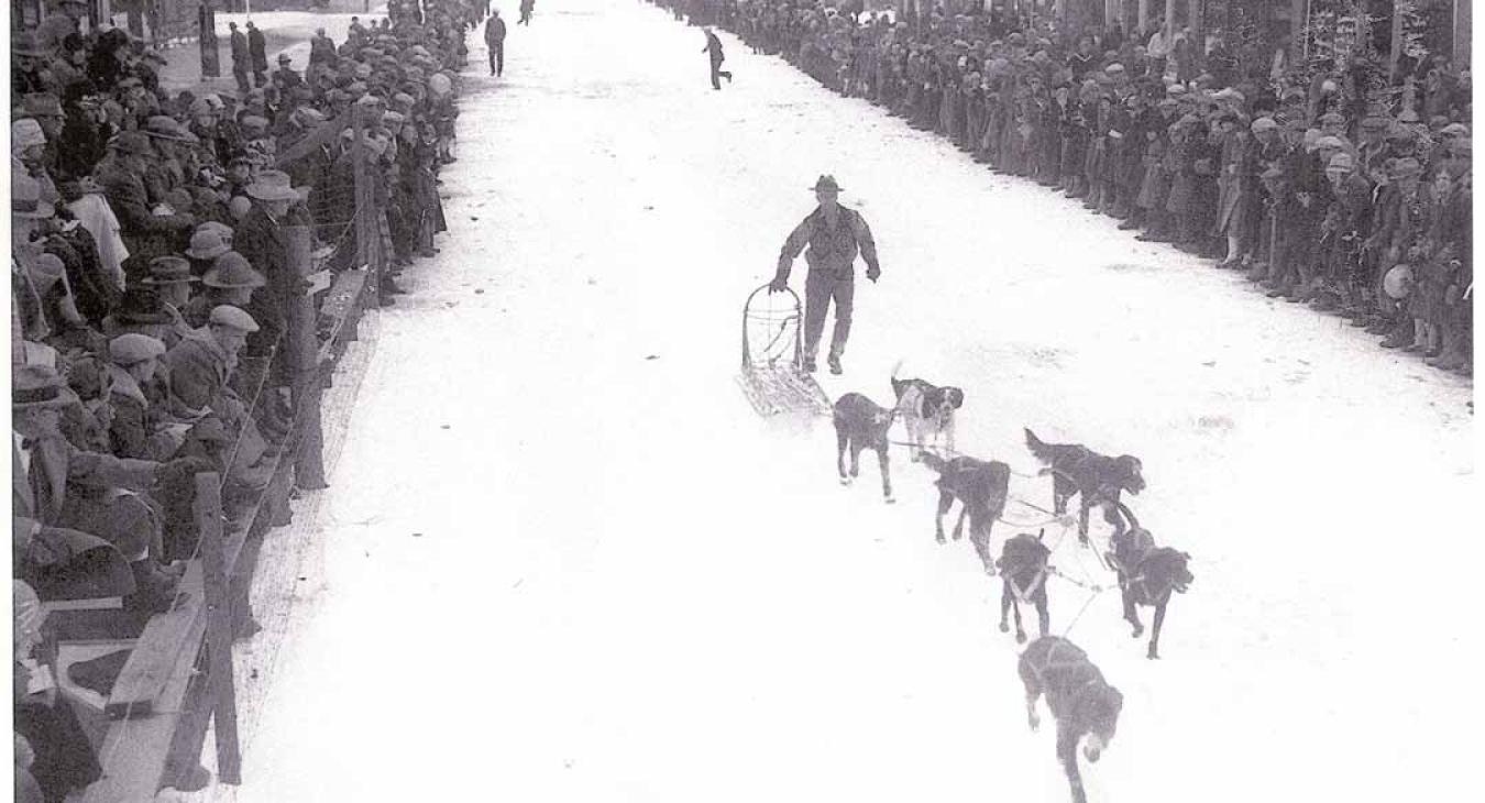 Historic American Dog Derby Photos