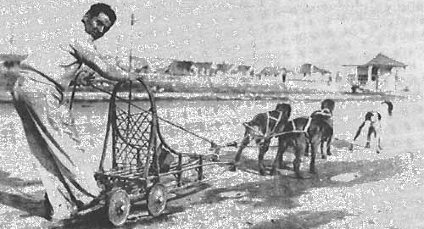 Historic American Dog Derby Photos