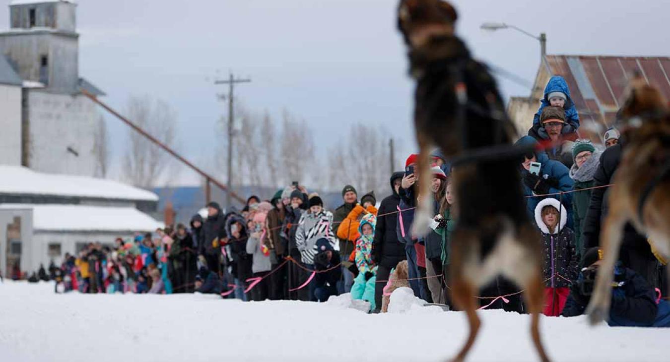 The American Dog Derby in the 1990's