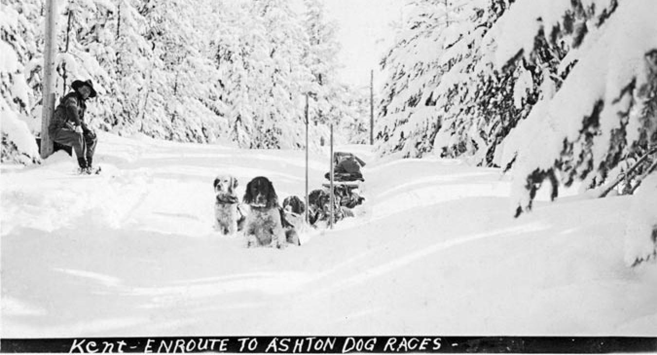 The First American Dog Derby