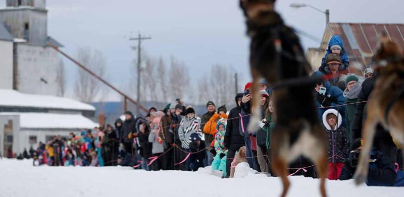 The American Dog Derby in the 1990's
