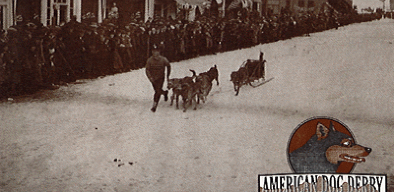 The Historic American Dog Derby since 1917