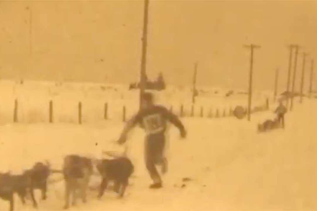 American Dog Derby - February 22, 1928