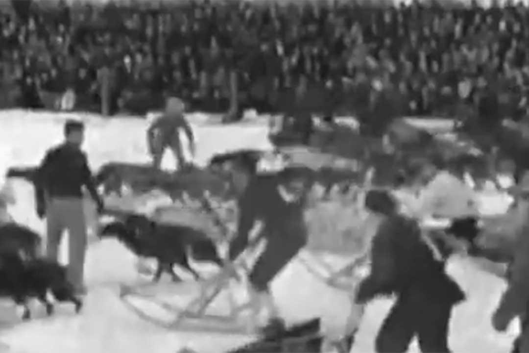 1947 American Dog Derby Newsreel