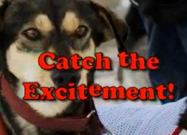 2009 Weight Pull Champ - Koda Tzar