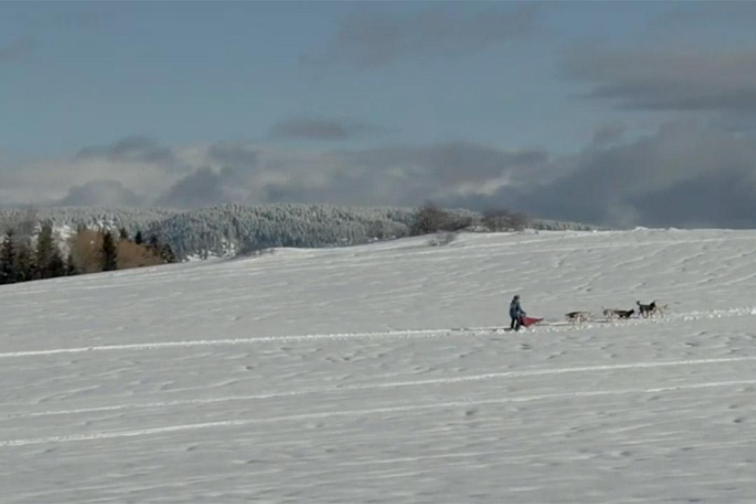 Alan Baum's Amazing Derby Video Featuring Drone Footage