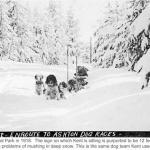 The First American Dog Derby